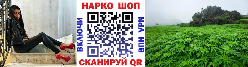 Магазины продажи наркотиков Сосновый Бор СОЛЬ  COCAIN  ЭКСТАЗИ  Амфетамин  Каннабис  МЕГА как войти  Гашиш 