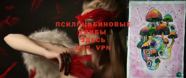 молекула духа Аркадак